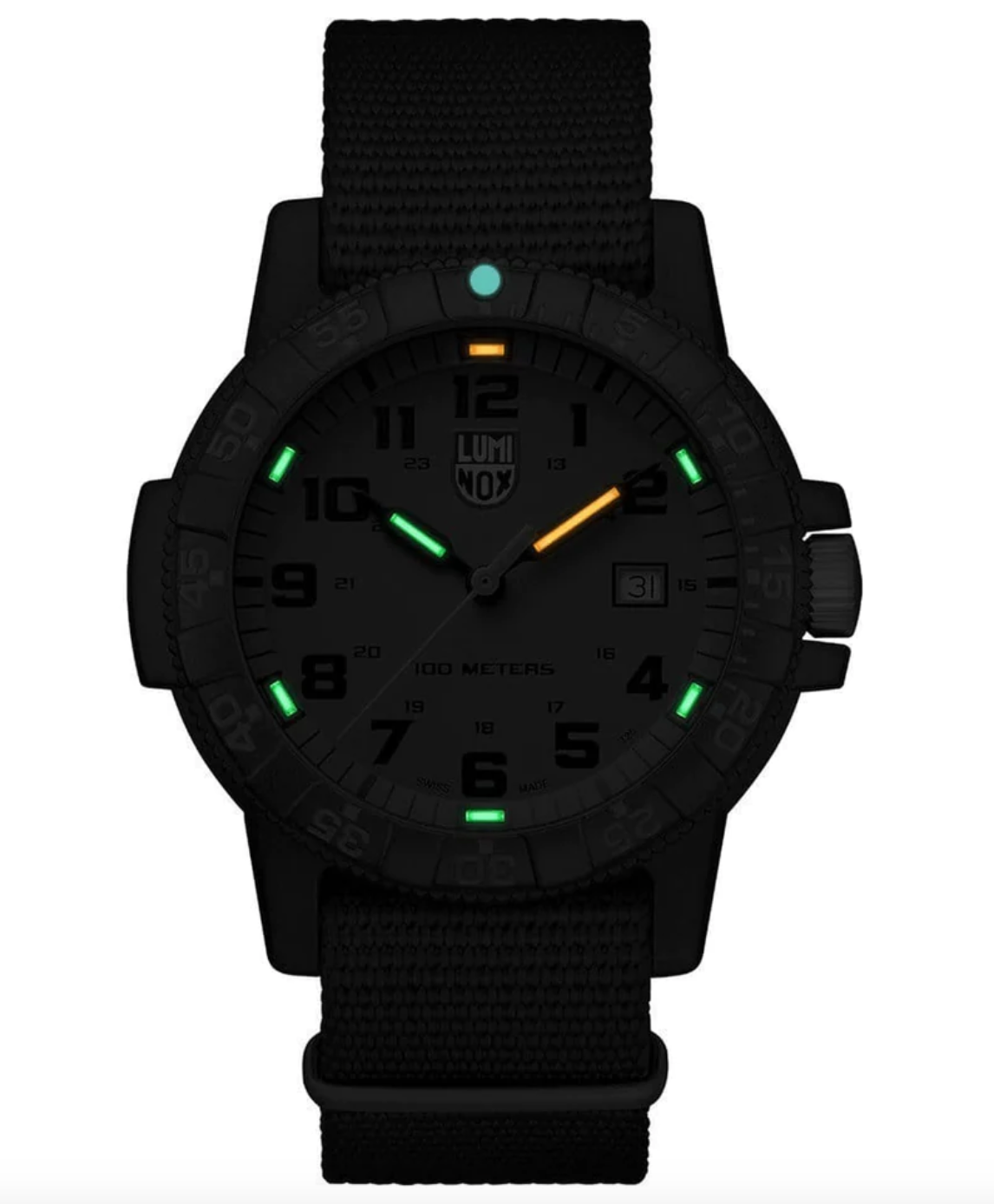 Luminox Leatherback Sea Turtle Watch