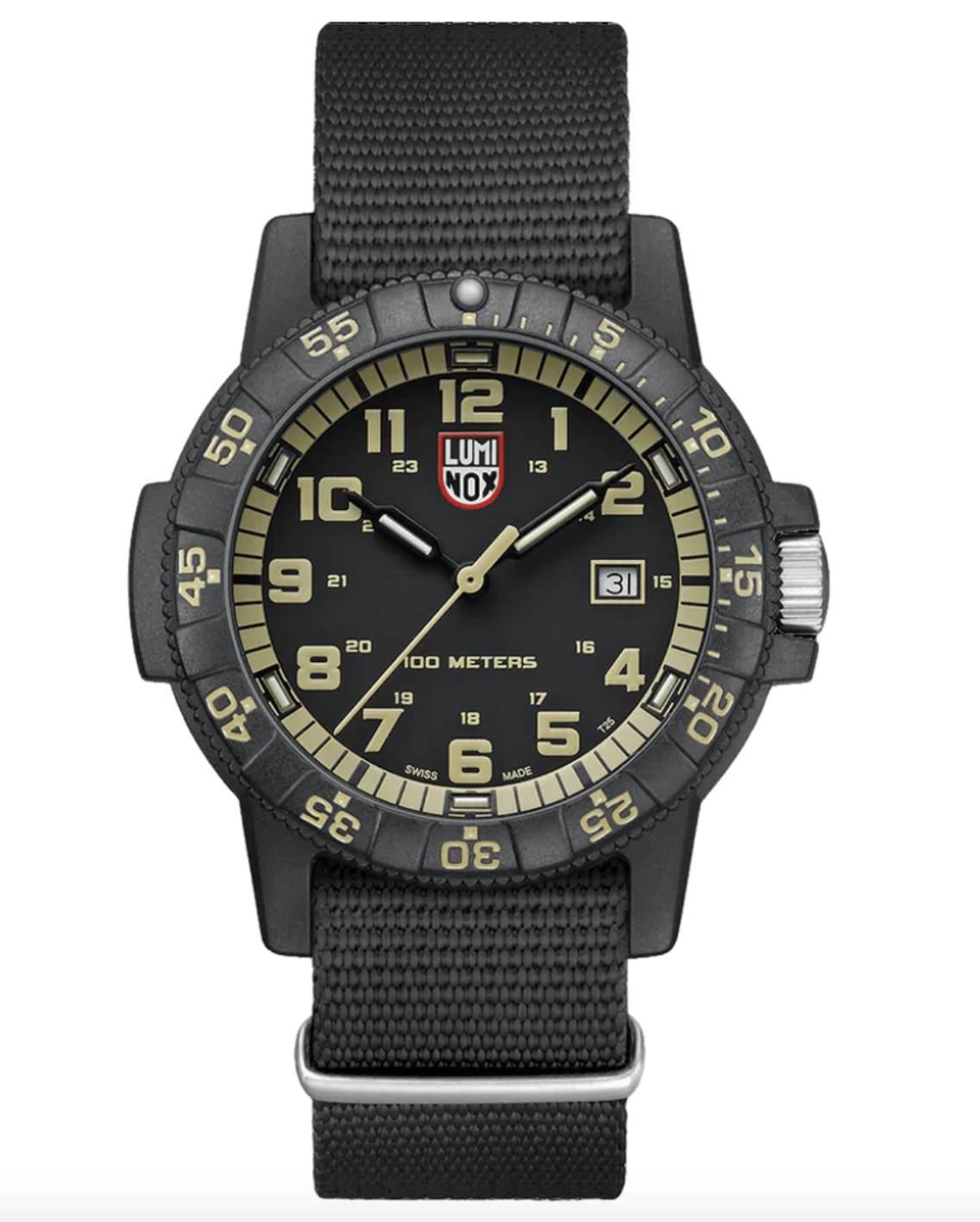 Luminox Leatherback Sea Turtle Watch